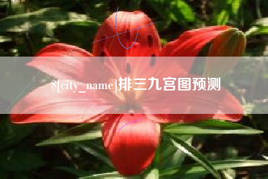 黄南排三九宫图预测