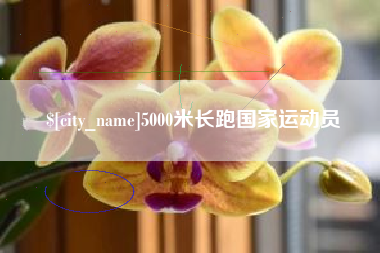 黄南5000米长跑国家运动员