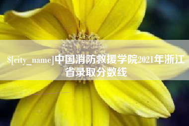 黄南中国消防救援学院2021年浙江省录取分数线