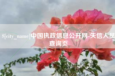 黄南中国执政信息公开网-失信人员查询页