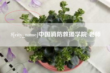 黄南中国消防救援学院 老师