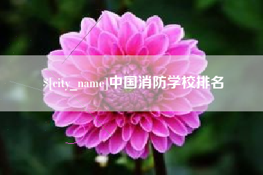 黄南中国消防学校排名