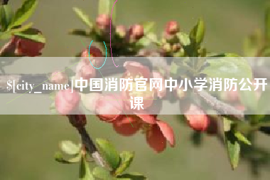 黄南中国消防官网中小学消防公开课