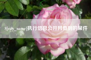 黄南执行信息公开网查到的案件