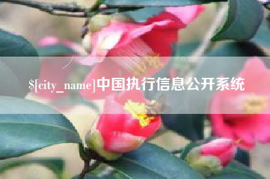 黄南中国执行信息公开系统