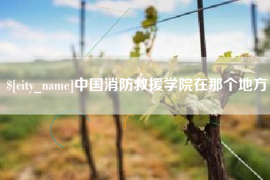 黄南中国消防救援学院在那个地方
