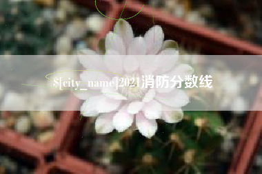 黄南2021消防分数线