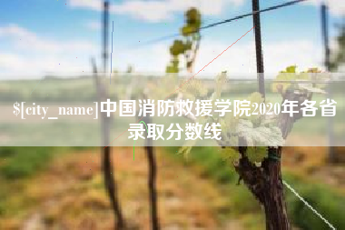 黄南中国消防救援学院2020年各省录取分数线