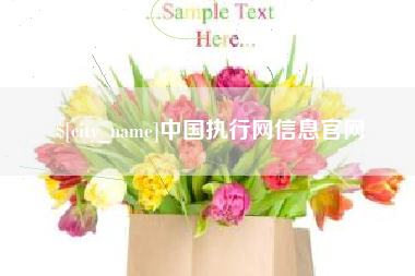 黄南中国执行网信息官网