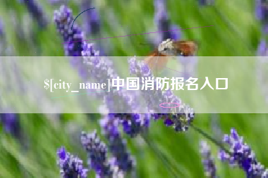 黄南中国消防报名入口