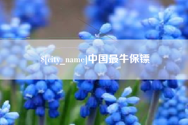 黄南中国最牛保镖