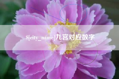 黄南九宫对应数字