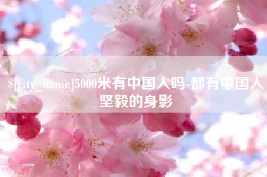 黄南5000米有中国人吗-都有中国人坚毅的身影