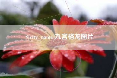 黄南九宫格龙图片