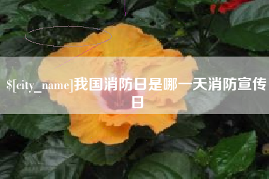 黄南我国消防日是哪一天消防宣传日