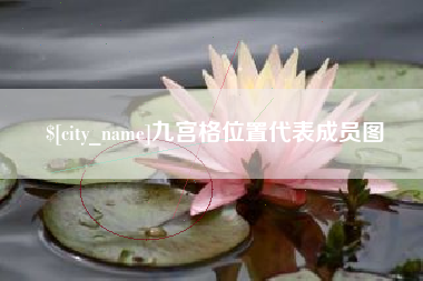 黄南九宫格位置代表成员图