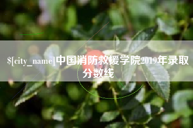黄南中国消防救援学院2019年录取分数线