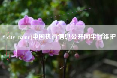 黄南中国执行信息公开网平台维护
