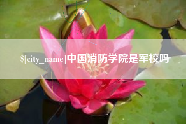 黄南中国消防学院是军校吗