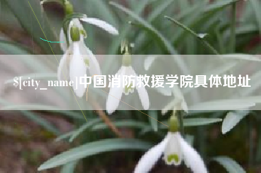 黄南中国消防救援学院具体地址