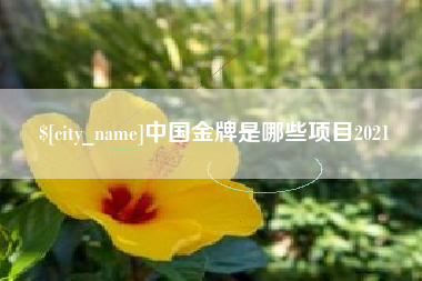 黄南中国金牌是哪些项目2021