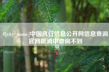 黄南中国执行信息公开网信息查询官网限消中查询不到