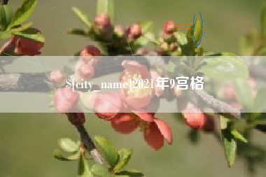 黄南2021年9宫格
