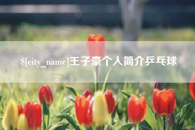 黄南王子豪个人简介乒乓球