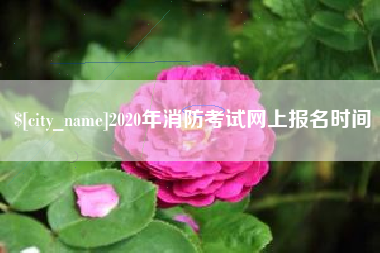 黄南2020年消防考试网上报名时间