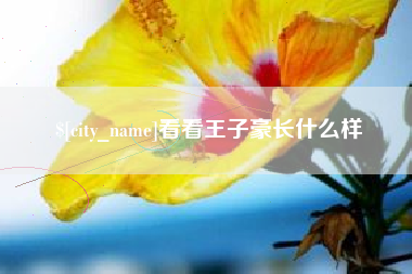 黄南看看王子豪长什么样