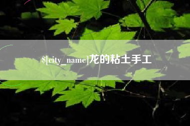 黄南龙的粘土手工
