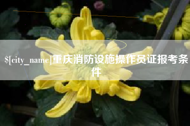 黄南重庆消防设施操作员证报考条件