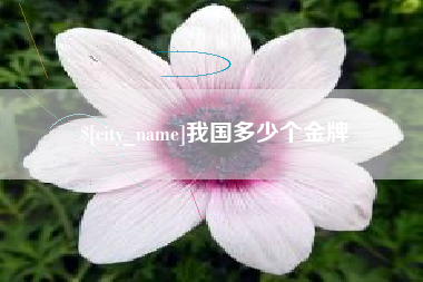 黄南我国多少个金牌