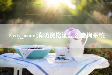 黄南消防资格证怎么查询系统
