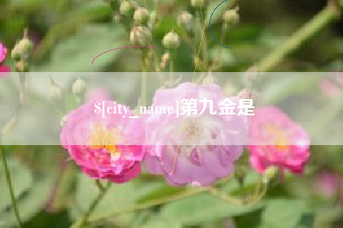 黄南第九金是