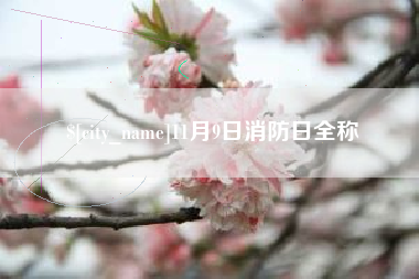 黄南11月9日消防日全称