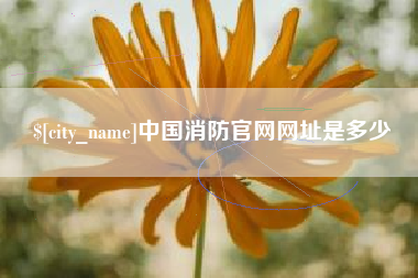 黄南中国消防官网网址是多少