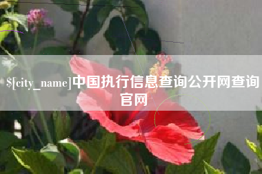 黄南中国执行信息查询公开网查询官网