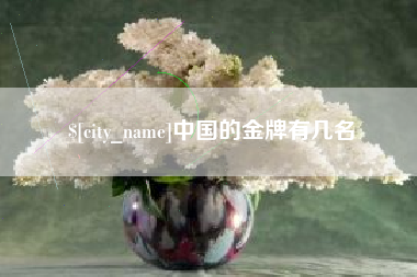 黄南中国的金牌有几名