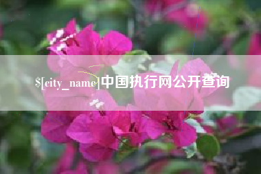 黄南中国执行网公开查询