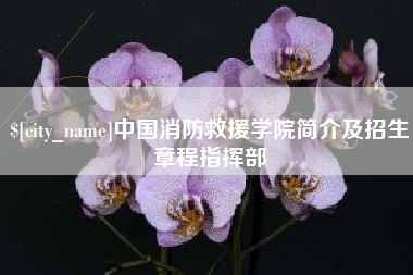 黄南中国消防救援学院简介及招生章程指挥部