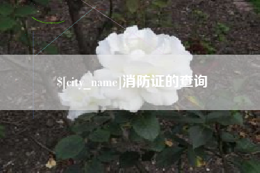 黄南消防证的查询