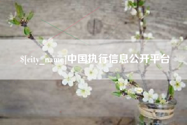 黄南中国执行信息公开平台