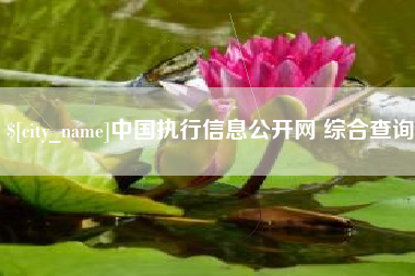 黄南中国执行信息公开网 综合查询