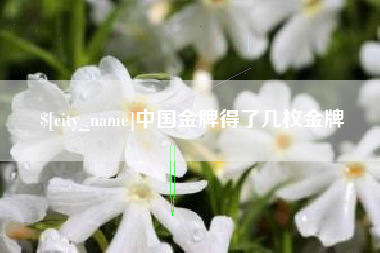 黄南中国金牌得了几枚金牌