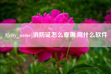 黄南消防证怎么查询,用什么软件