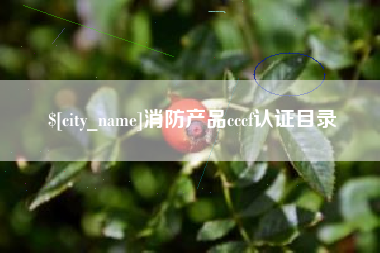 黄南消防产品cccf认证目录
