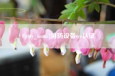黄南消防设备ccc认证