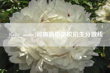 黄南河南消防学校招生分数线