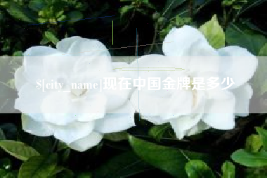 黄南现在中国金牌是多少
